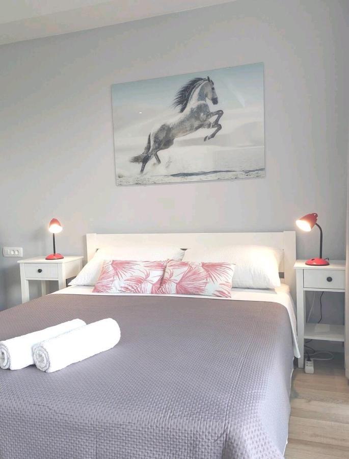 Gorgeous Dubrovnik Sea View Apartment With Free Parking Esterno foto